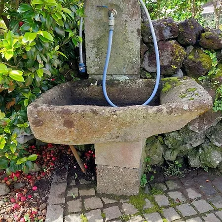 דירה Retiro Camelias 1