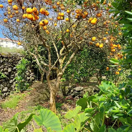 Διαμέρισμα Retiro Camelias 1 *