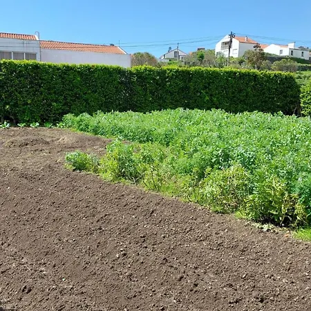Retiro Camelias 1 * Lajes das Flores