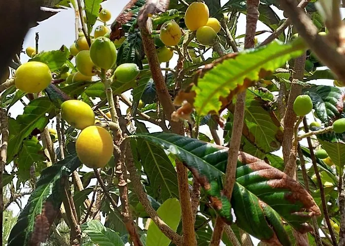 Retiro Camelias 1 아파트 *