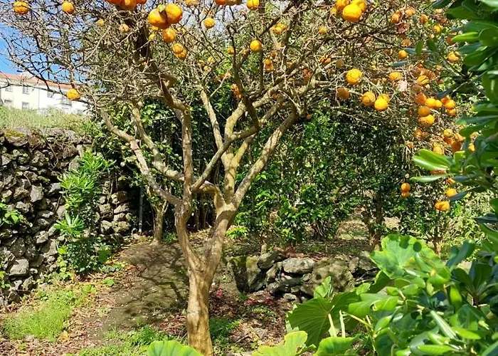 Apartment Retiro Camelias 1 *