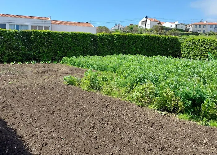 Retiro Camelias 1 * Lajes das Flores