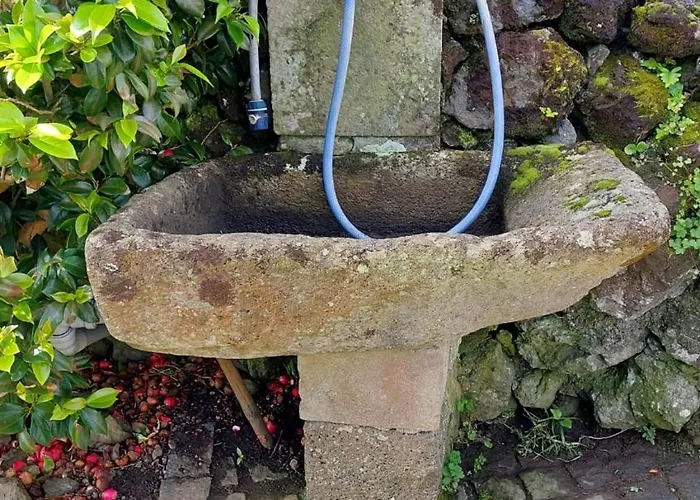 Apartment Retiro Camelias 1